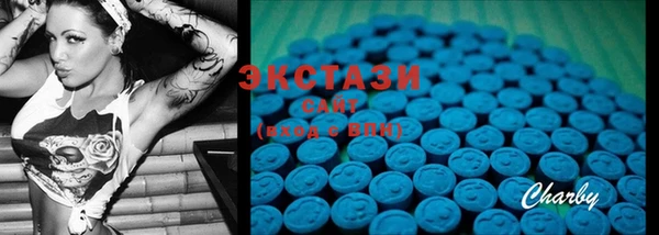 ECSTASY Богородицк