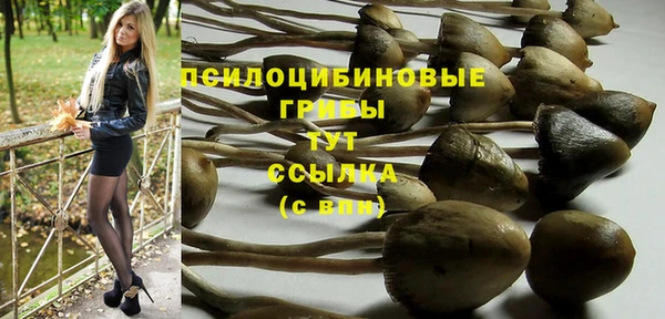 скорость Богданович
