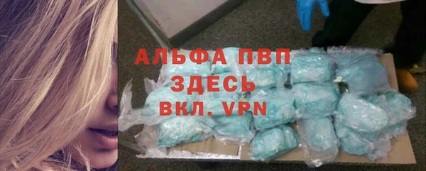 ECSTASY Богородицк